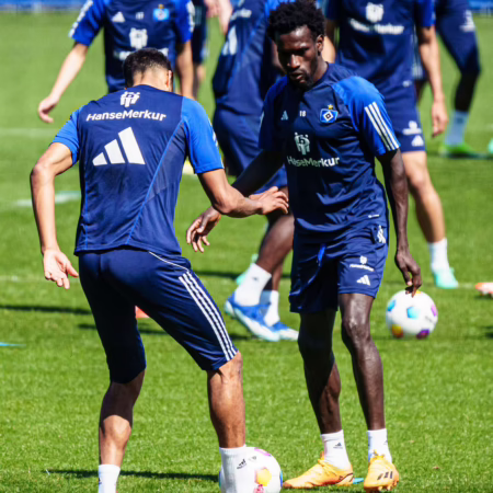 HSV: Vier Frühstarter, vier Geschichten