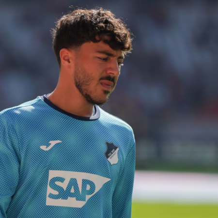 2. Liga oder Türkei: Mehrere Optionen für Hoffenheims Tohumcu