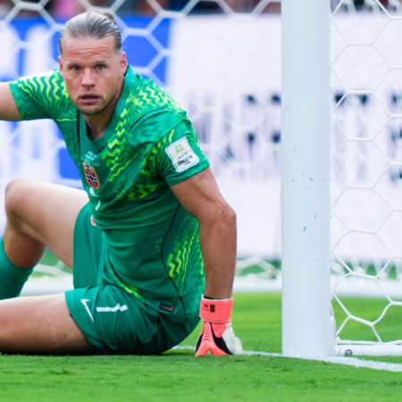 WM-Star Nyland wurde dem VfB angeboten – Gerüchte um namhaftes Trio