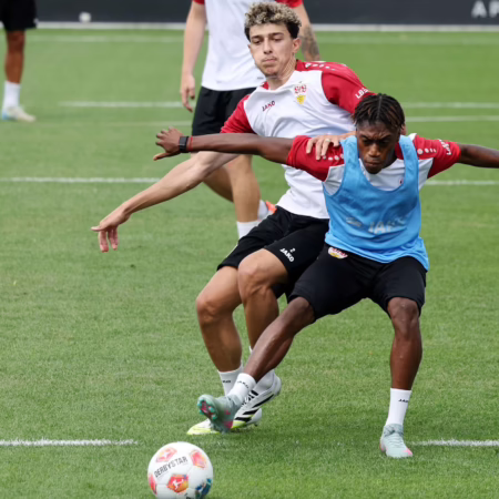 Diehl und Al-Dakhil kommen beim VfB nicht auf die Beine