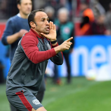 Bayer-Problem Defensivstandards: Holt Rolfes einen Spezialisten?